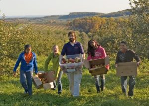 Campus Kitchens Project