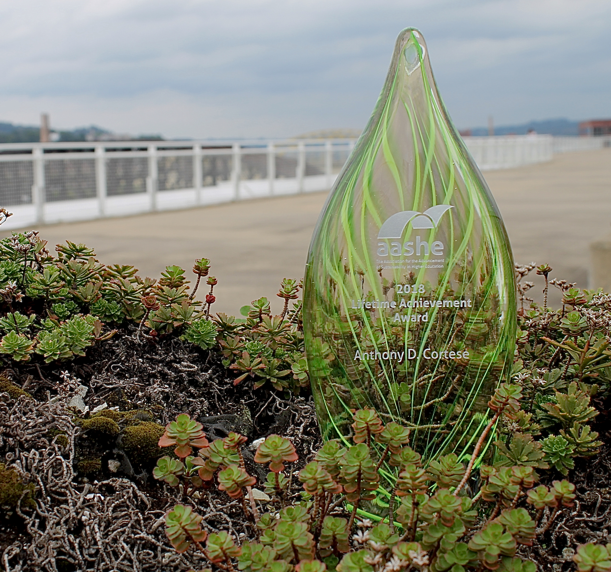 Lifetime Achievement Award Plaque