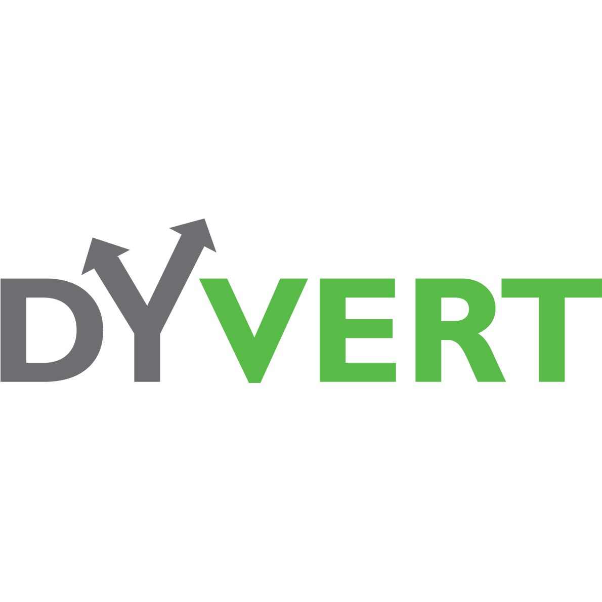 Dyvert logo